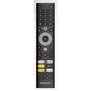 Пульт Quantum 24H6BQ оригинальный